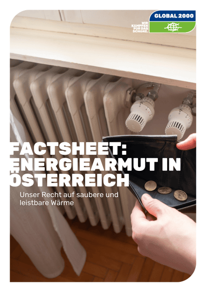 Deckblatt Factsheet Energiearmut in Österreich